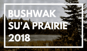 Bushwak su&rsquo;à prairie 2018