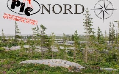 PIC Nord