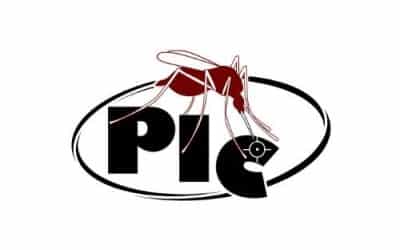 Droits linguistiques