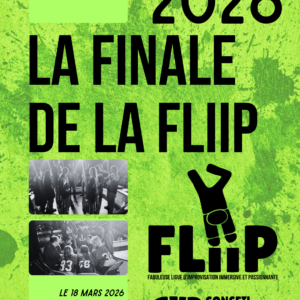 Finale de la FLIIP (Fabuleuse ligue d’improvisation immersive et passionnante)