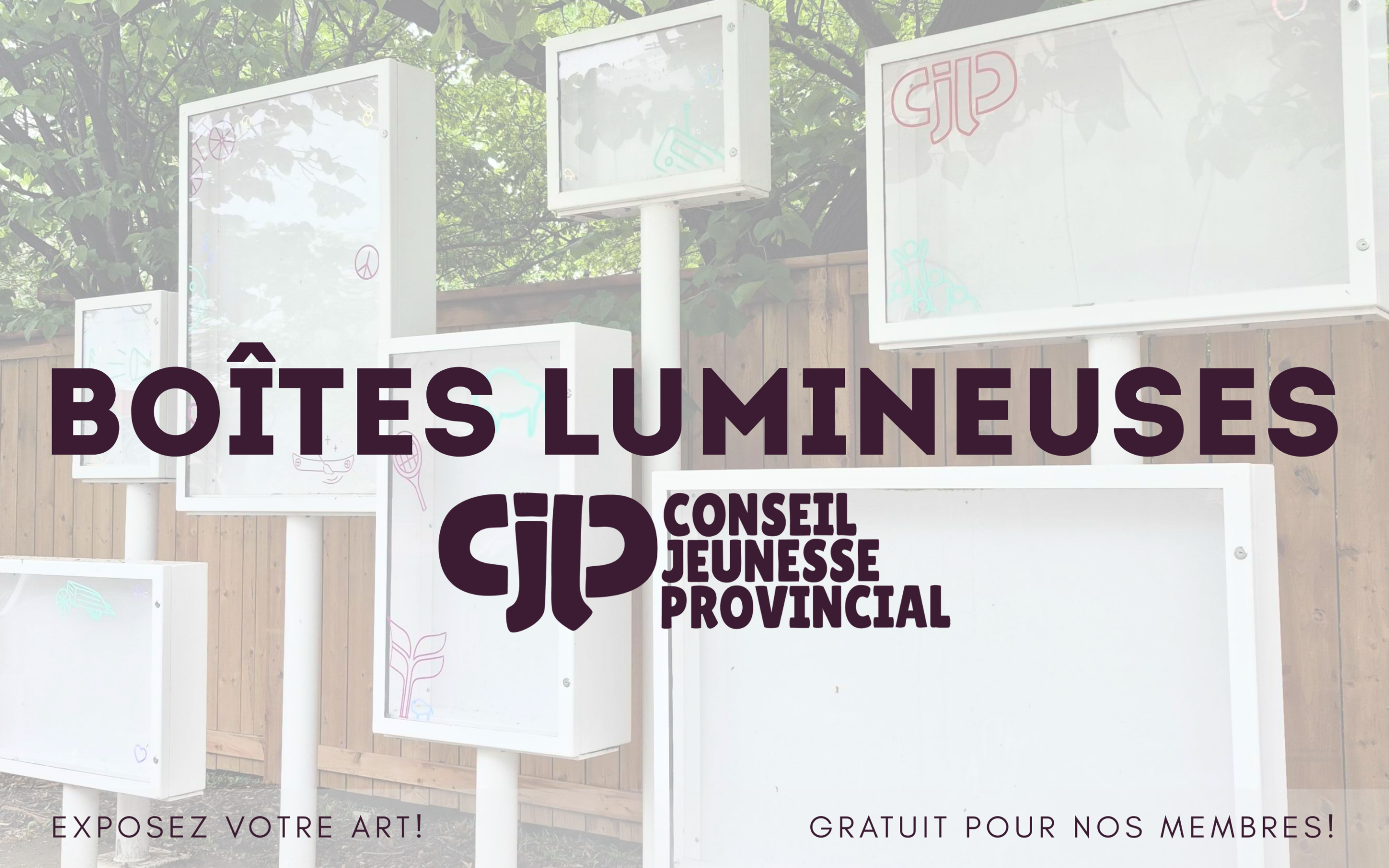 NOS BOÎTES LUMINEUSES – EXPOSEZ VOTRE ART!